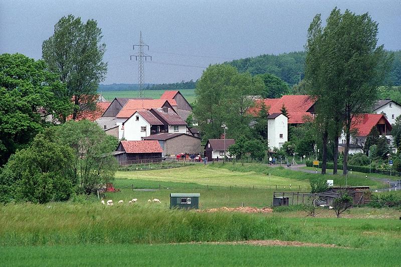 Klein-Eichen