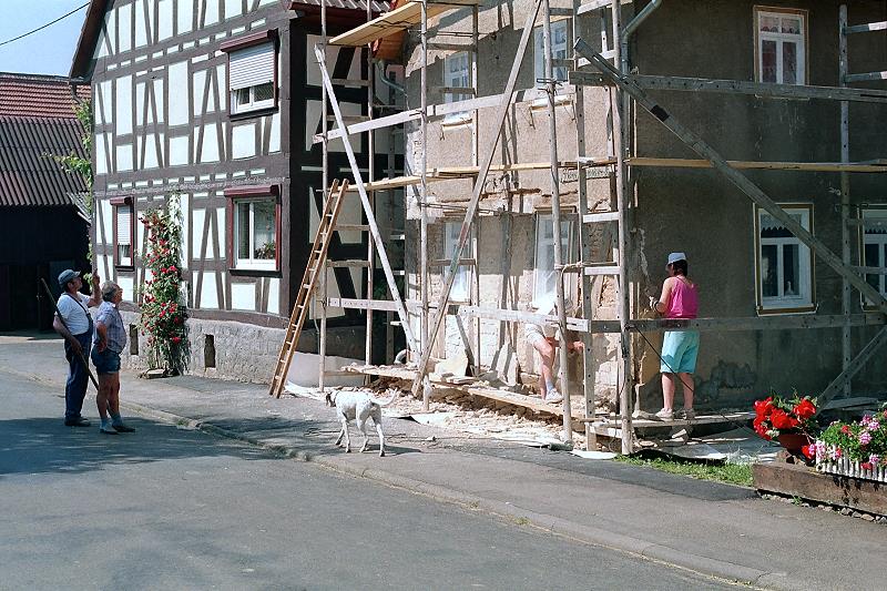 Klein-Eichen