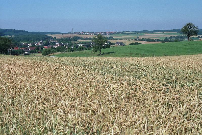 Klein-Eichen
