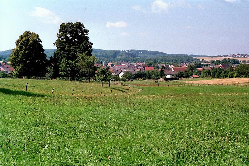 Klein-Eichen