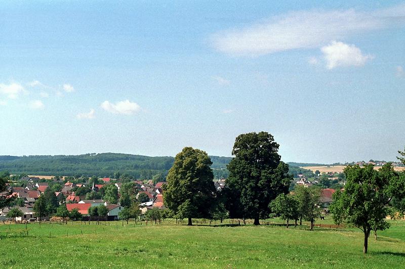 Klein-Eichen