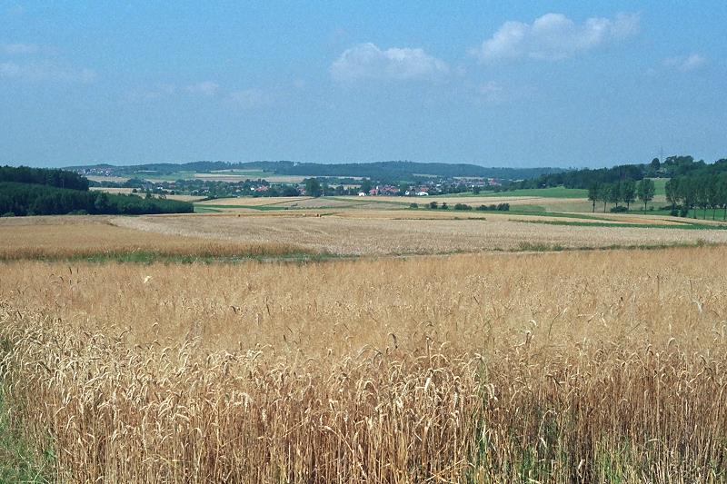 Klein-Eichen