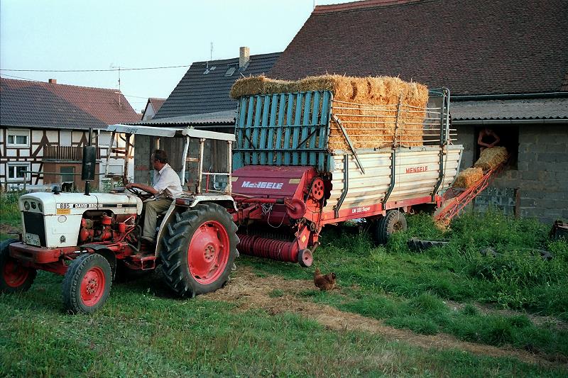 Klein-Eichen