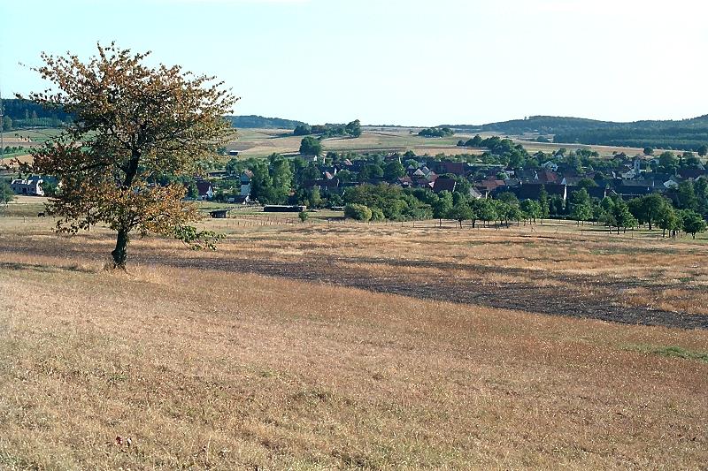 Klein-Eichen