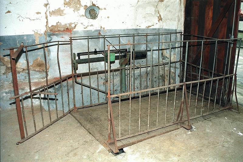 Klein-Eichen