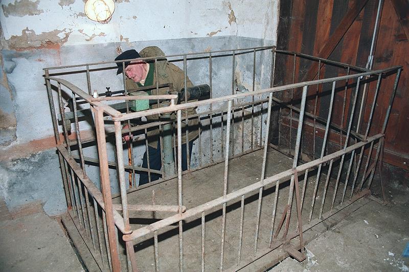 Klein-Eichen