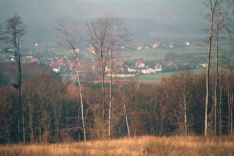 Klein-Eichen
