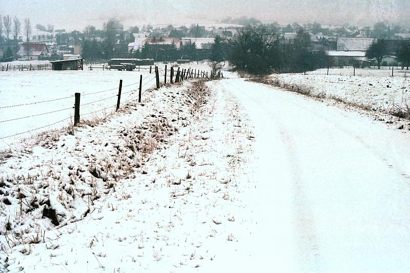 Klein-Eichen