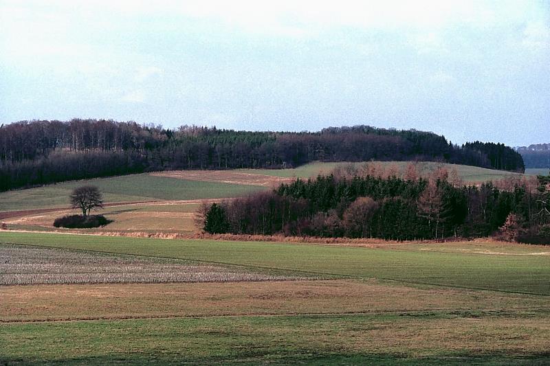 Klein-Eichen