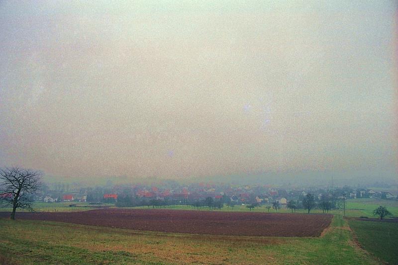 Klein-Eichen