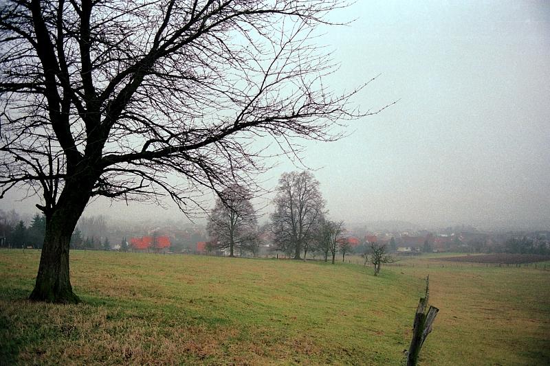 Klein-Eichen