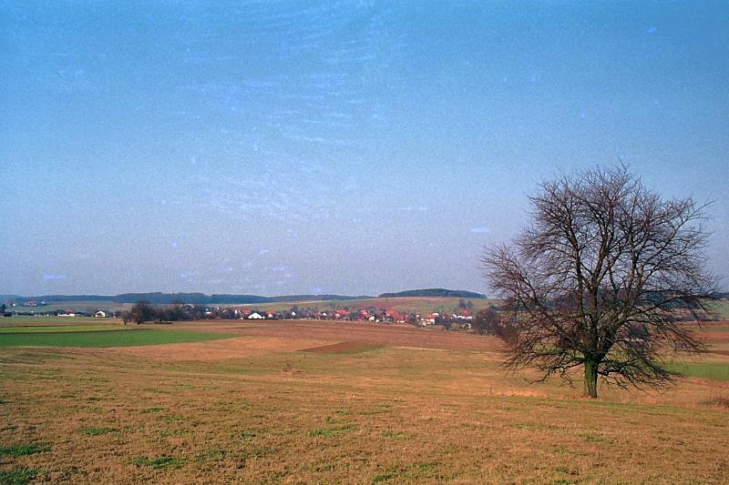 Klein-Eichen