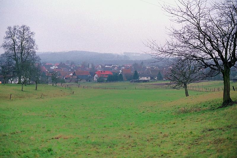 Klein-Eichen