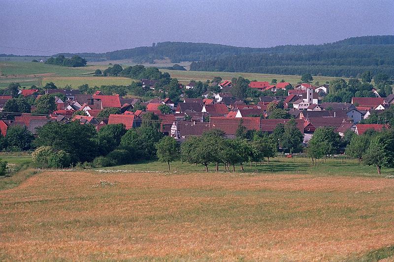 Klein-Eichen