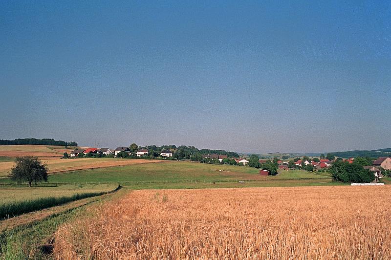 Klein-Eichen