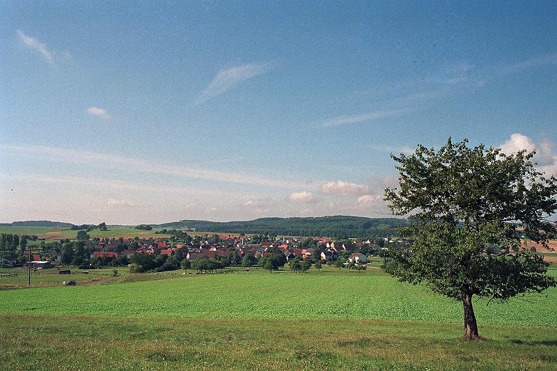 Klein-Eichen