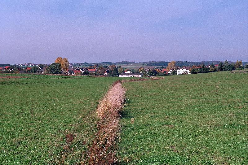 Klein-Eichen