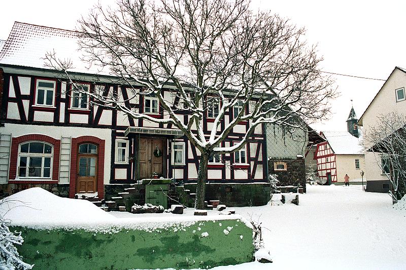 Klein-Eichen