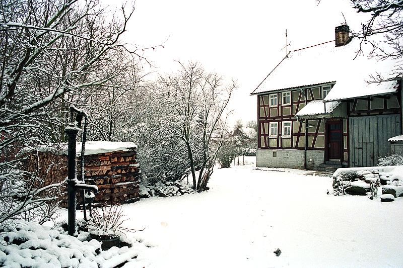 Klein-Eichen