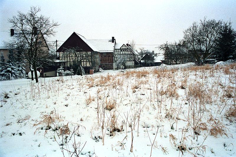 Klein-Eichen