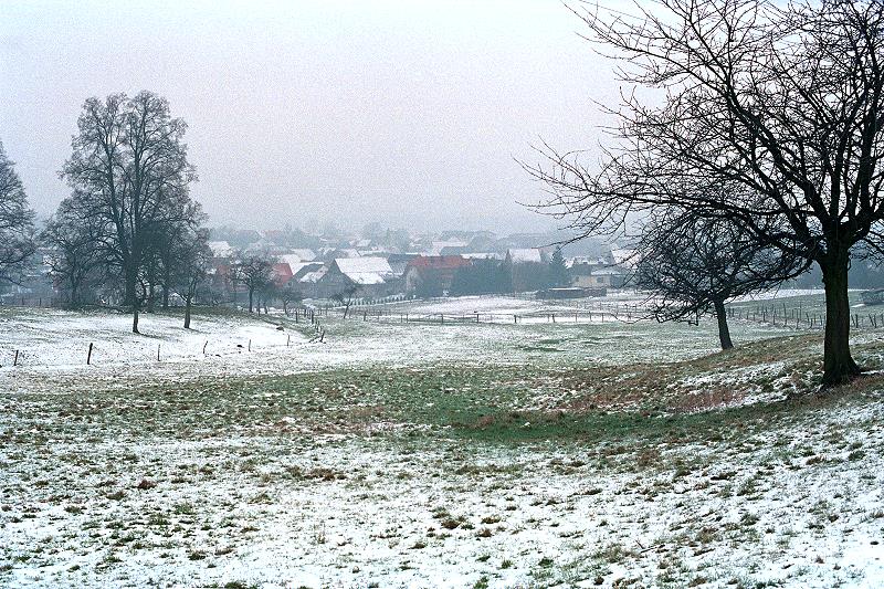 Klein-Eichen