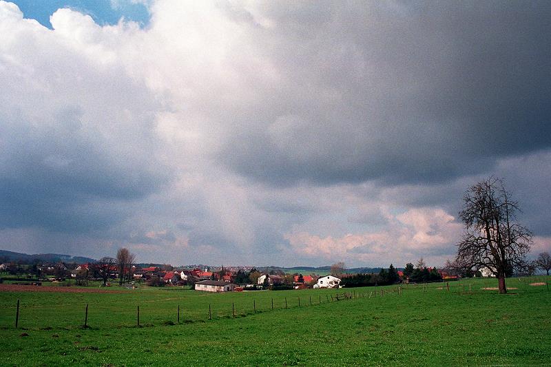 Klein-Eichen