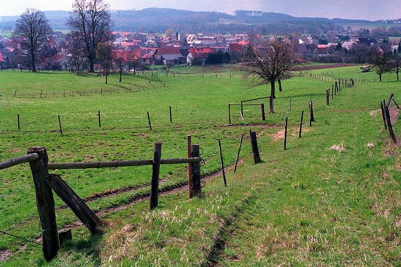 Klein-Eichen