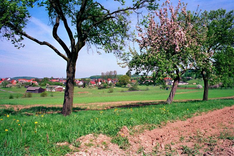Lardenbach