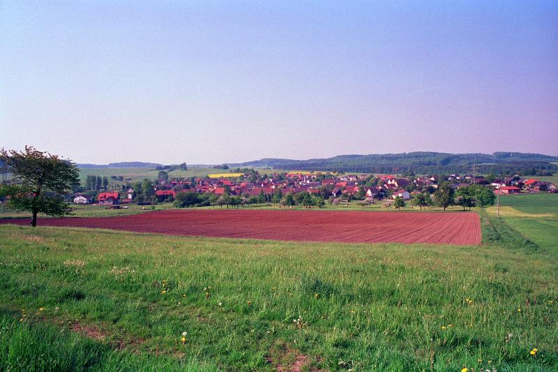 Klein-Eichen
