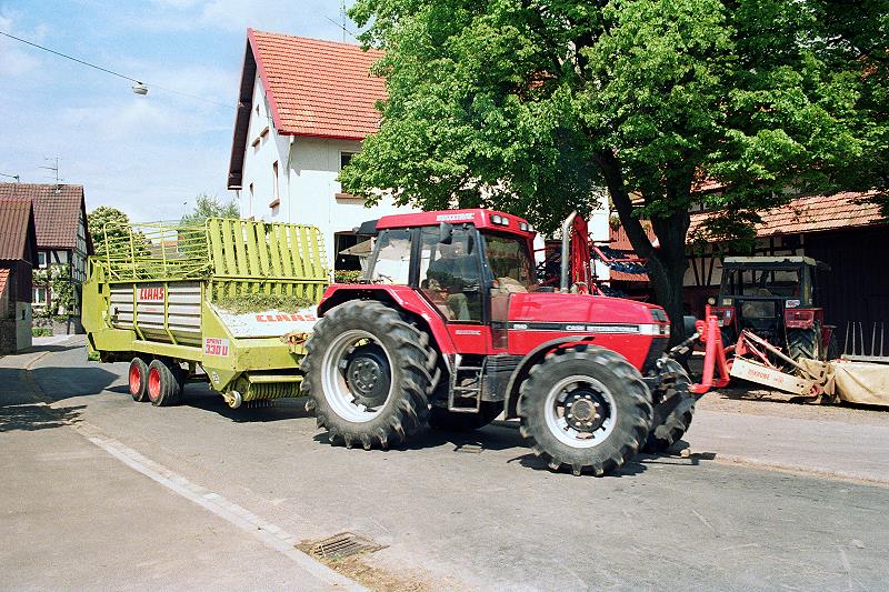 Klein-Eichen