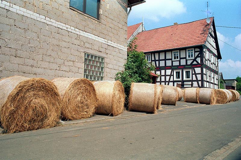 Klein-Eichen