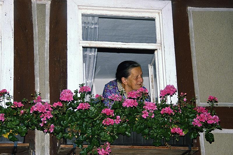 Klein-Eichen