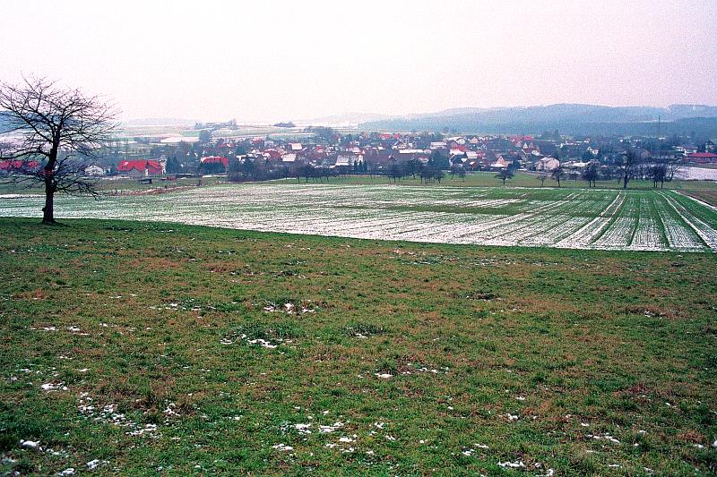 Klein-Eichen