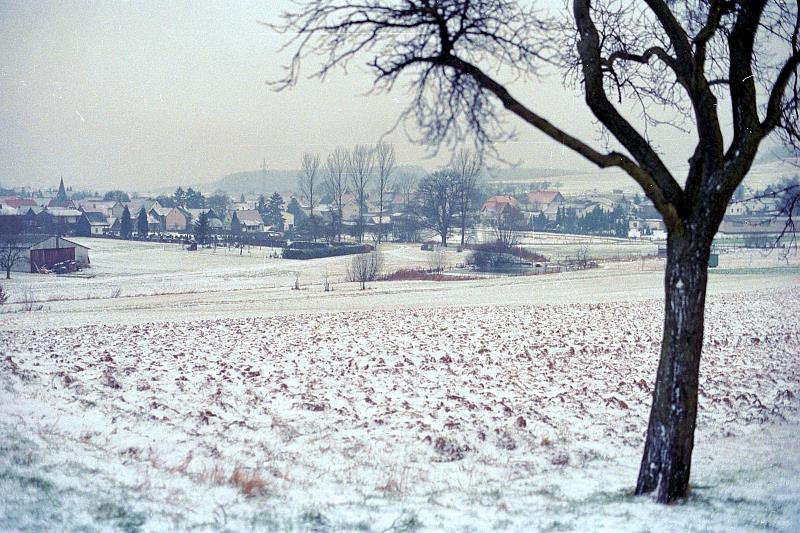 Klein-Eichen