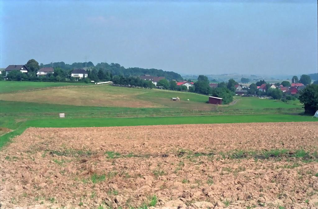 Klein-Eichen