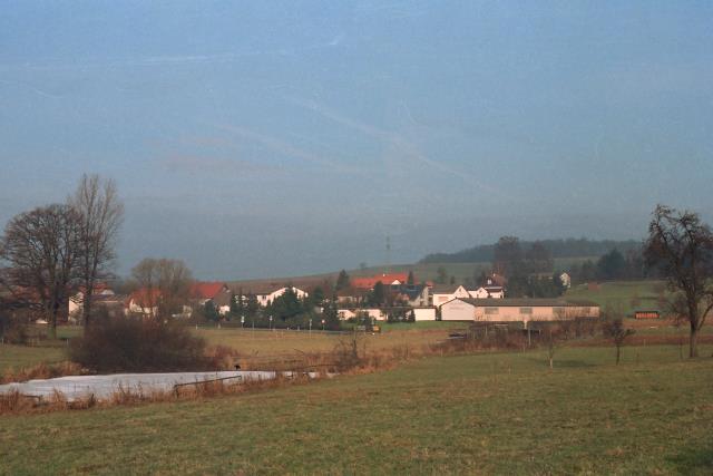 Klein-Eichen