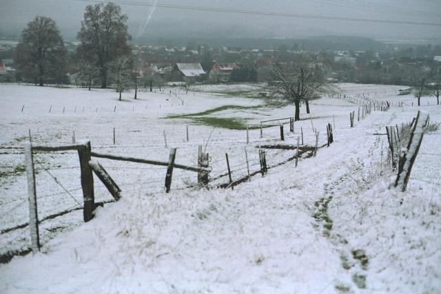 Klein-Eichen