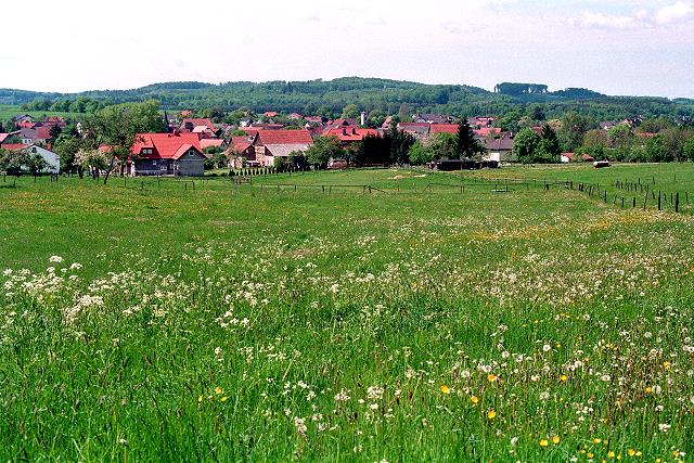 Klein-Eichen