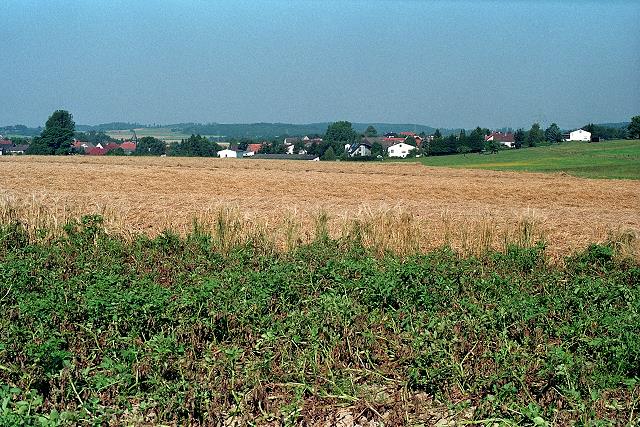 Klein-Eichen