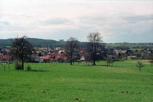 Klein-Eichen