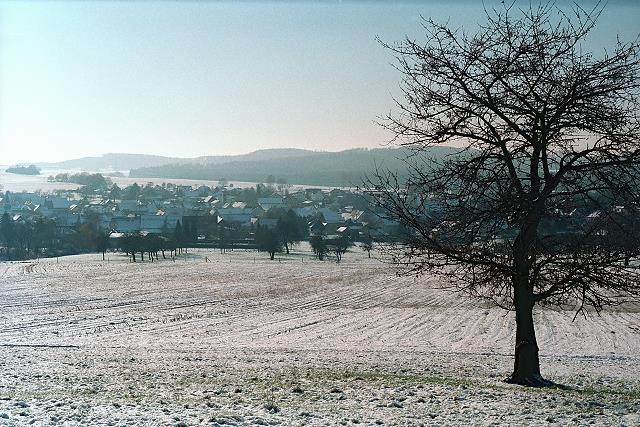 Klein-Eichen