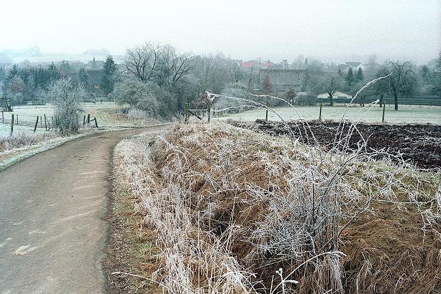 Klein-Eichen