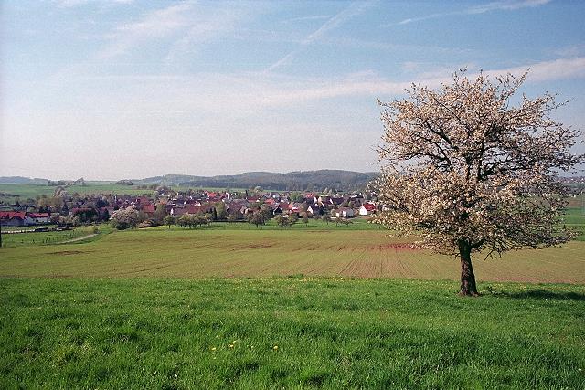 Klein-Eichen