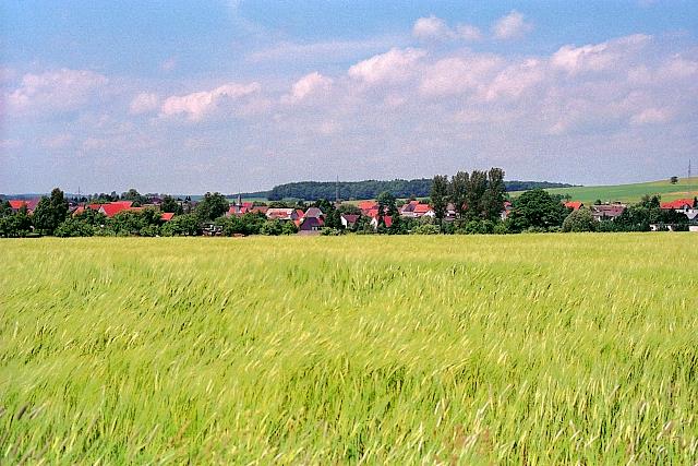 Klein-Eichen