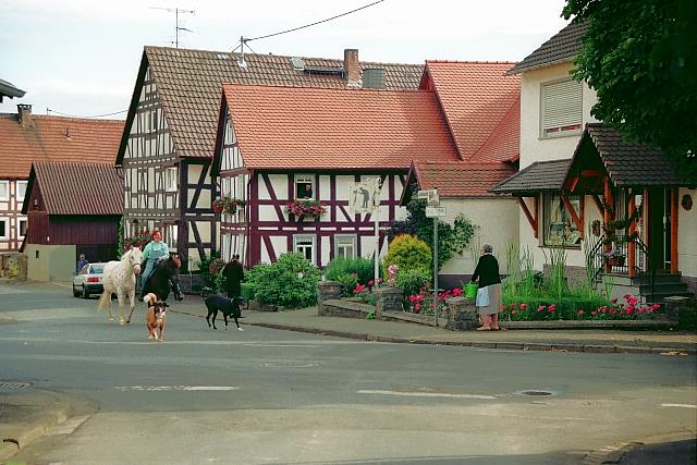 Klein-Eichen