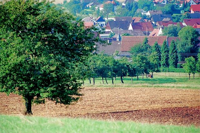 Klein-Eichen
