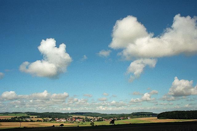 Klein-Eichen