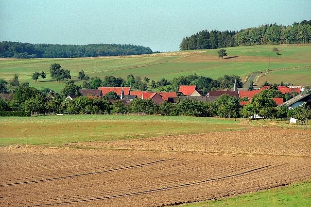 Klein-Eichen