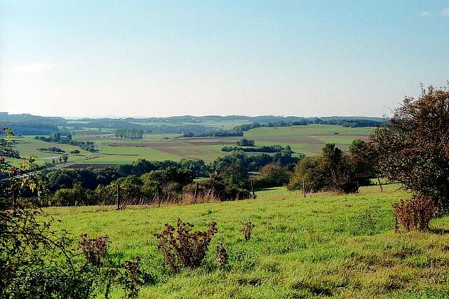Klein-Eichen