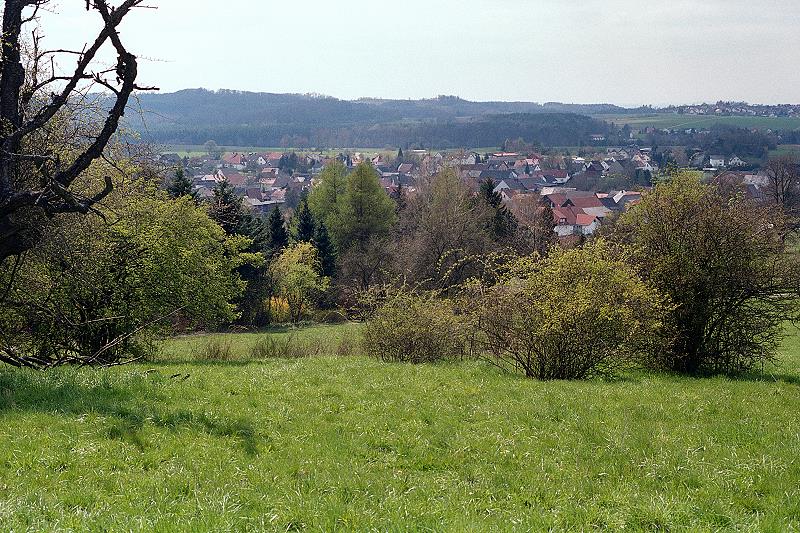 Klein-Eichen